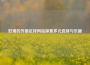 好用的外围足球网站探索多元选择与乐趣