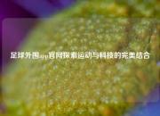 足球外围app官网探索运动与科技的完美结合