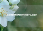 足球外围啥意思足球外围什么意思？