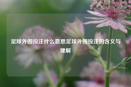 足球外围投注什么意思足球外围投注的含义与理解