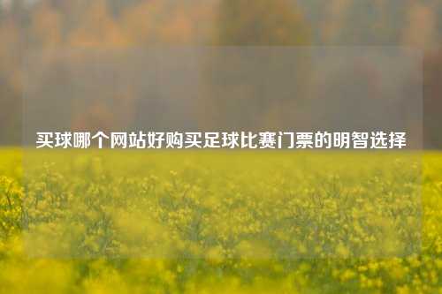 买球哪个网站好购买足球比赛门票的明智选择