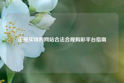 正规买球的网站合法合规购彩平台指南