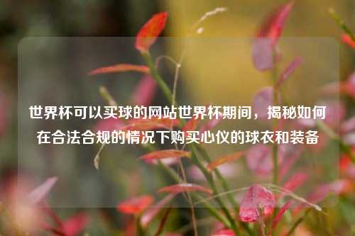 世界杯可以买球的网站世界杯期间，揭秘如何在合法合规的情况下购买心仪的球衣和装备
