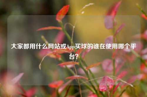 大家都用什么网站或App买球的谁在使用哪个平台？