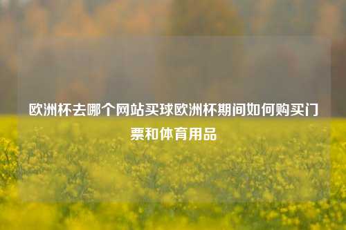 欧洲杯去哪个网站买球欧洲杯期间如何购买门票和体育用品