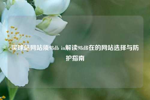买球站网站须98db in解读98dB在的网站选择与防护指南