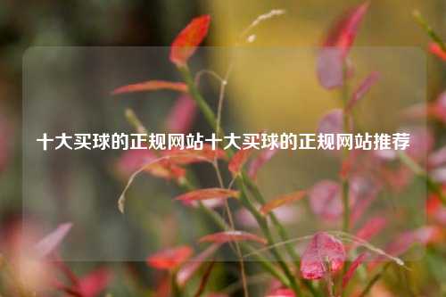 十大买球的正规网站十大买球的正规网站推荐