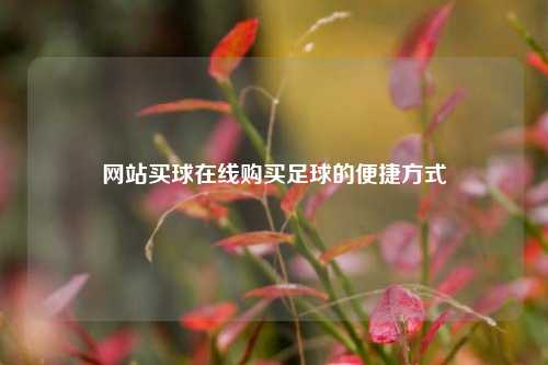 网站买球在线购买足球的便捷方式