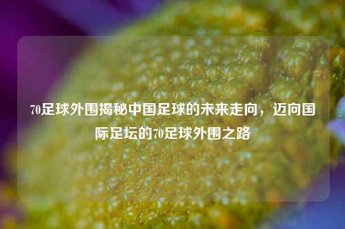 70足球外围揭秘中国足球的未来走向，迈向国际足坛的70足球外围之路