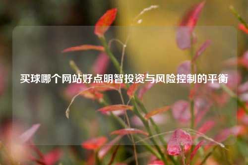 买球哪个网站好点明智投资与风险控制的平衡