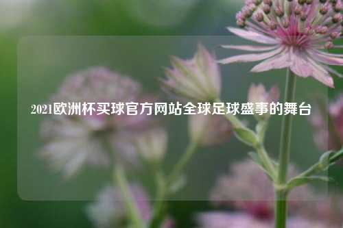 2021欧洲杯买球官方网站全球足球盛事的舞台