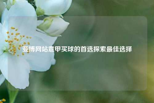 亚博网站意甲买球的首选探索最佳选择